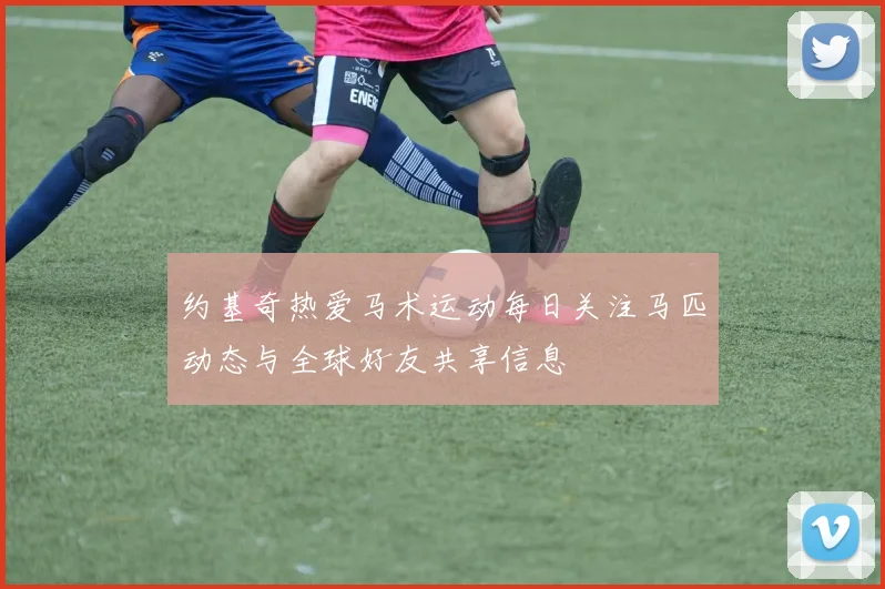 约基奇热爱马术运动每日关注马匹动态与全球好友共享信息