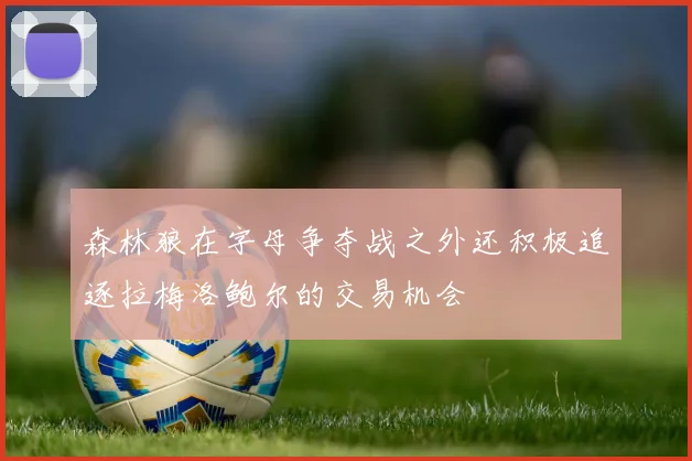 森林狼在字母争夺战之外还积极追逐拉梅洛鲍尔的交易机会